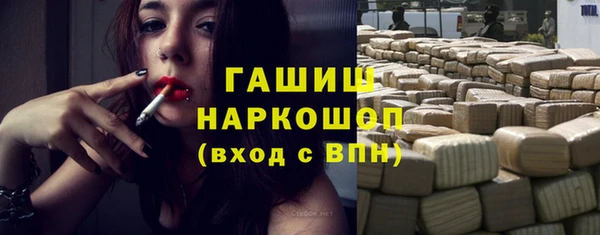 гидра Богородск