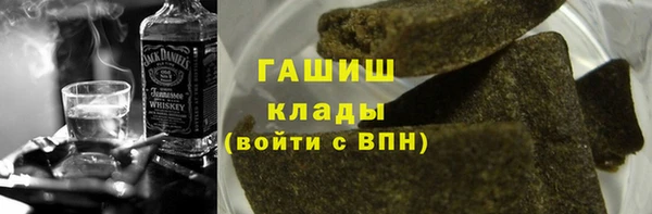гидра Богородск