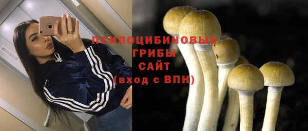 MESCALINE Богородицк