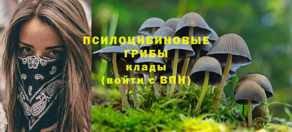 гидра Богородск