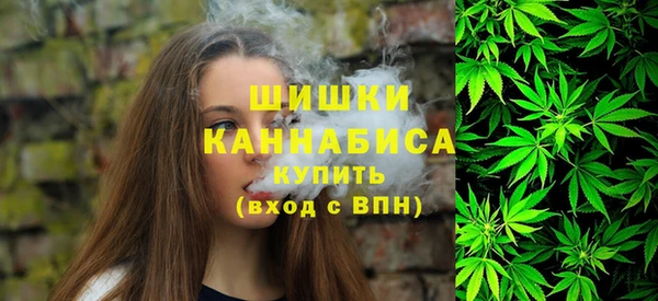 гидра Богородск