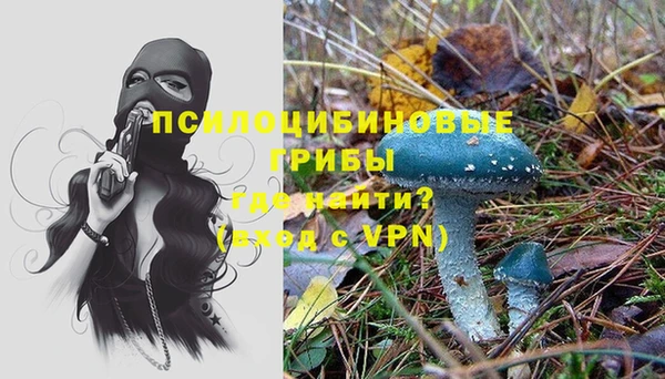 гидра Богородск